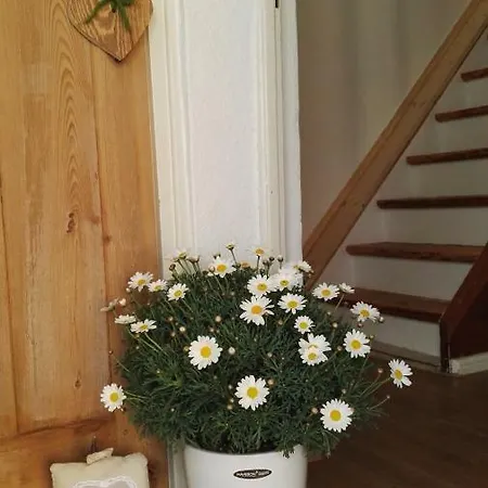 Haus Liebevoll In Wald 102 Hébergement de vacances *